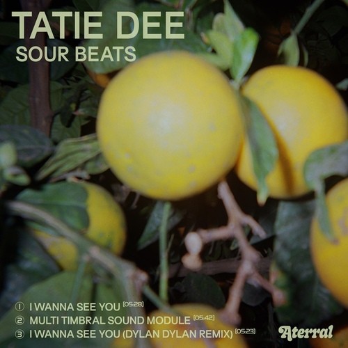 Tatie Dee, Dylan Dylan-Sour Beats