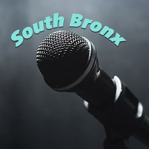 Various Artists-South Bronx