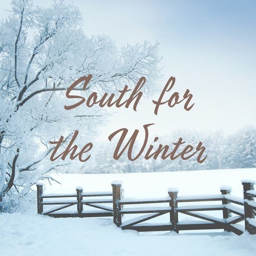 Various Artists-South for the Winter
