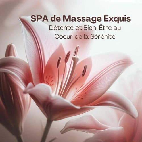 Spa de Massage Exquis