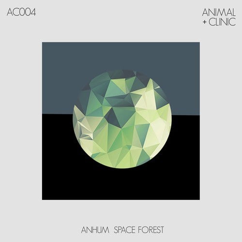 Anhum-Space Forest