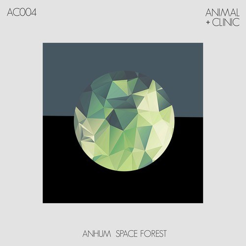 Anhum-Space Forest