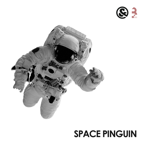 Space Pinguin
