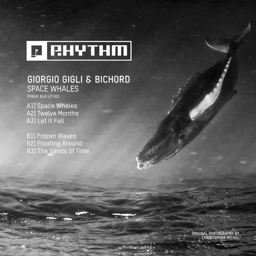 Giorgio Gigli, Bichord-Space Whales