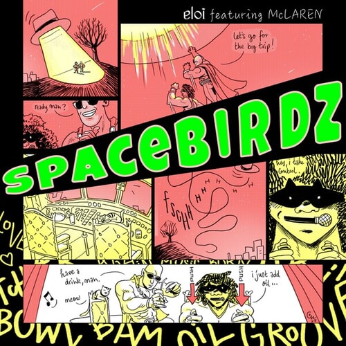 Spacebirdz