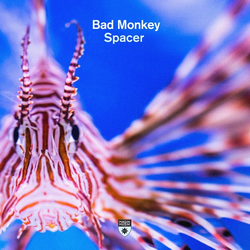 Bad Monkey-Spacer