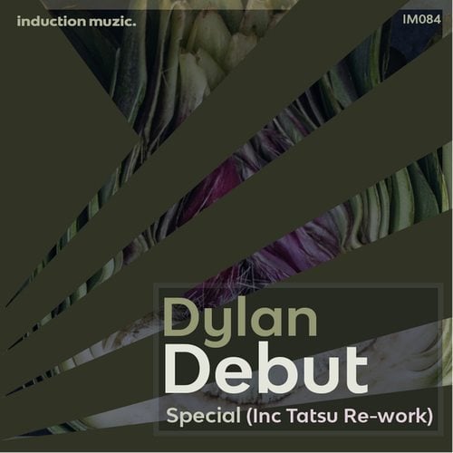 Dylan Debut, Tatsu-Special