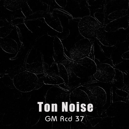 Ton Noise-Spiral Rotor