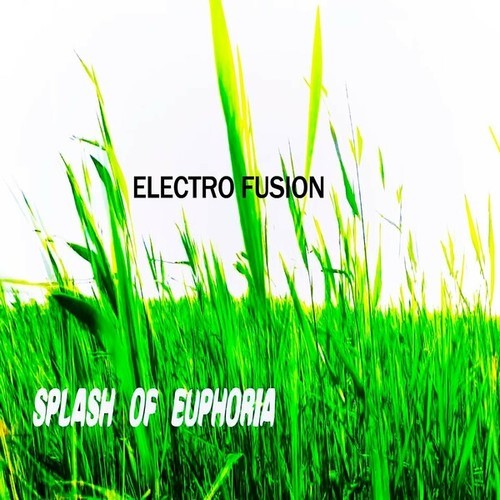 Electro Fusion-Splash of Euphoria