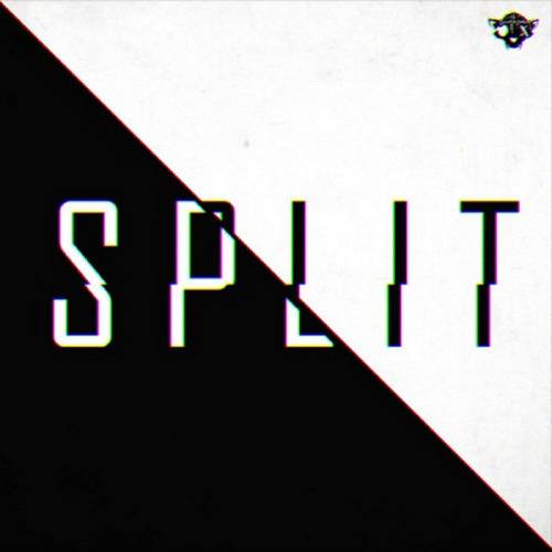 SPLIT