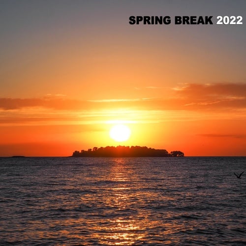 Various Artists-Spring Break 2022