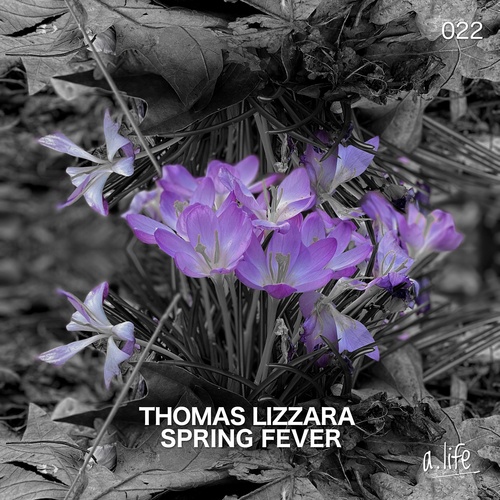Thomas Lizzara-Spring Fever Feat. Hanna