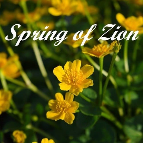 Spring of Zion