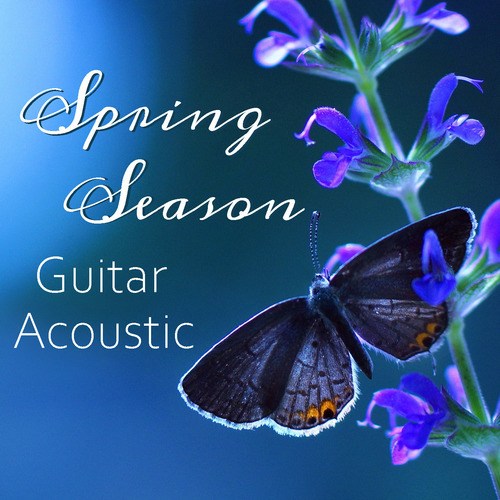 Spring Season Guitar Acoustic