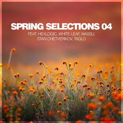 Hexlogic, White Leaf, Wassu, Stan Chetverikov, Taglo-Spring Selections 04