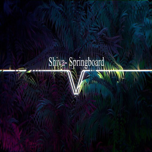 Shiva-Springboard