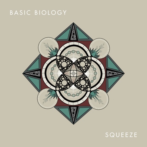Basic Biology-Squeeze