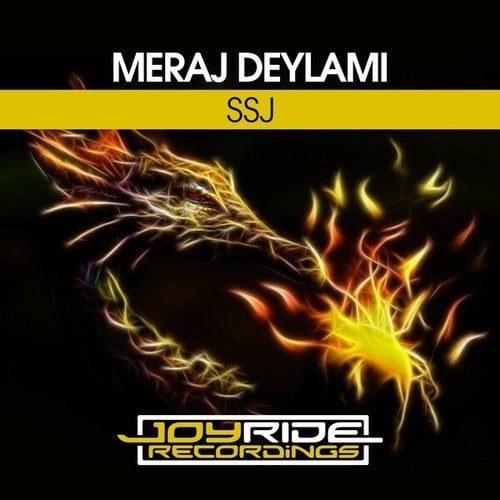 Meraj Deylami-SSJ