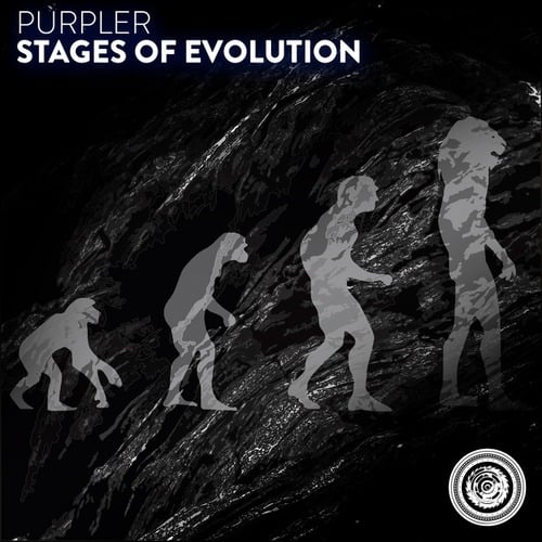 Stages of Evolution