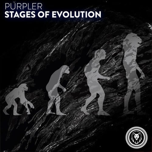 Stages of Evolution