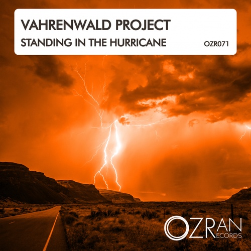Vahrenwald Project-Standing In The Hurricane