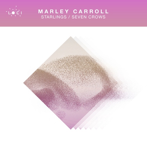 Marley Carroll-Starlings / Seven Crows