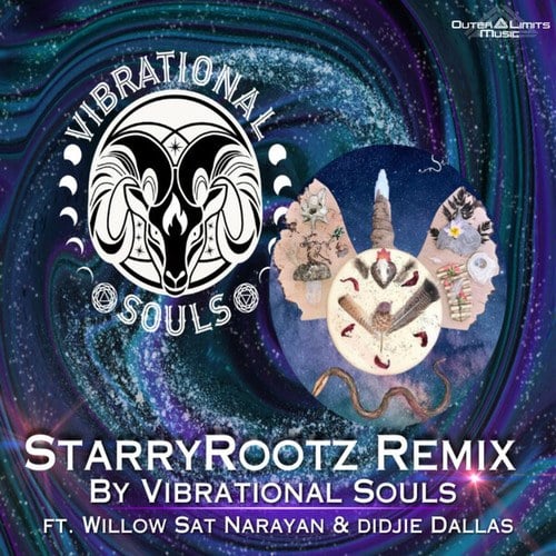 Vibrational Souls, Willow Sat Narayan, Didjie Dallas-Starry Rootz