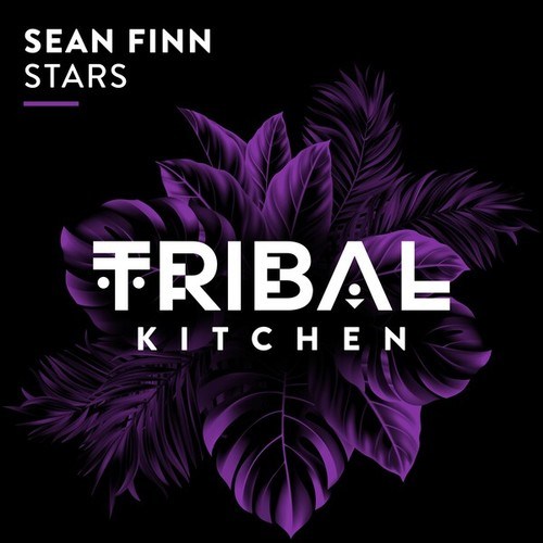 Sean Finn-Stars (Extended Mix)