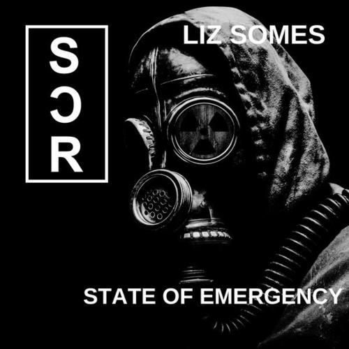 Liz Somes-State of Emergency