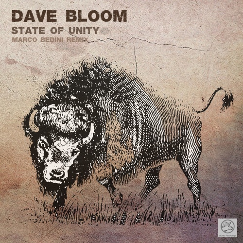 Dave Bloom, Marco Bedini-State Of Unity