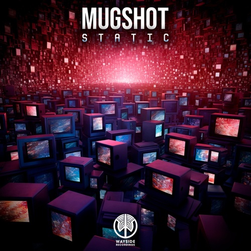 Mugshot-Static