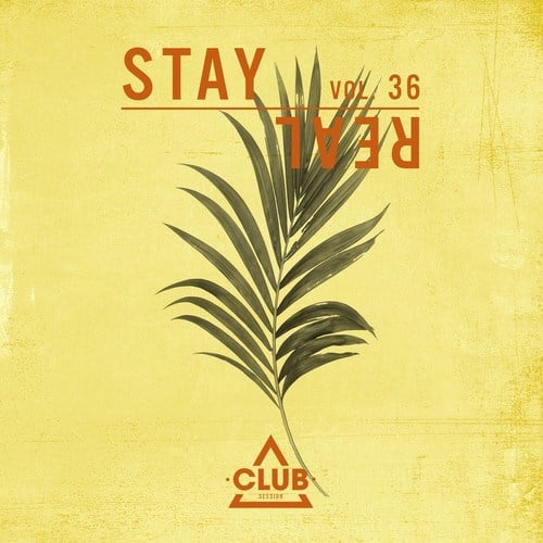 Various Artists-Stay Real, Vol. 36