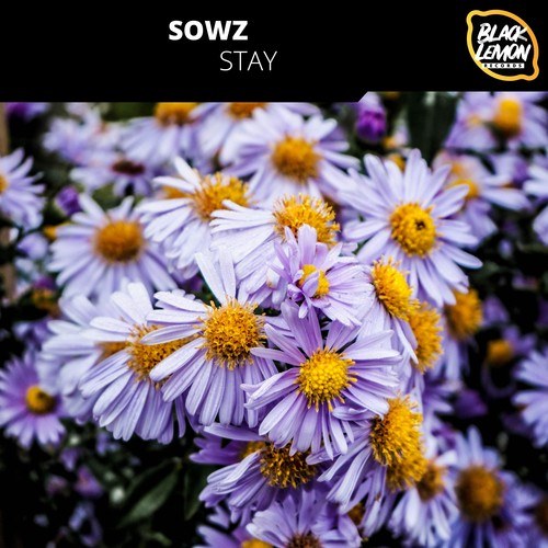 SOWZ-Stay