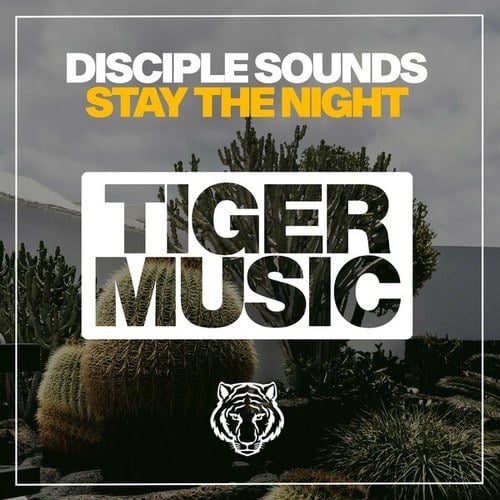 Disciple Sounds-Stay the Night