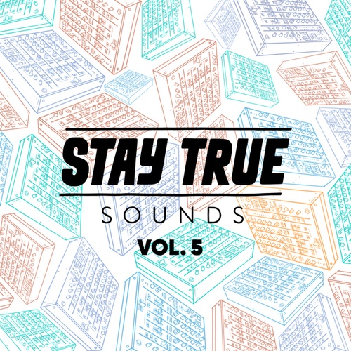 Stay True Sounds Vol. 5 Compiled by Kid Fonque