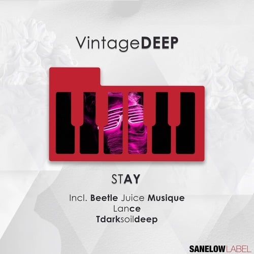 Tdarksoildeep, VintageDEEP, Beetle Juice Musique, Lance-Stay