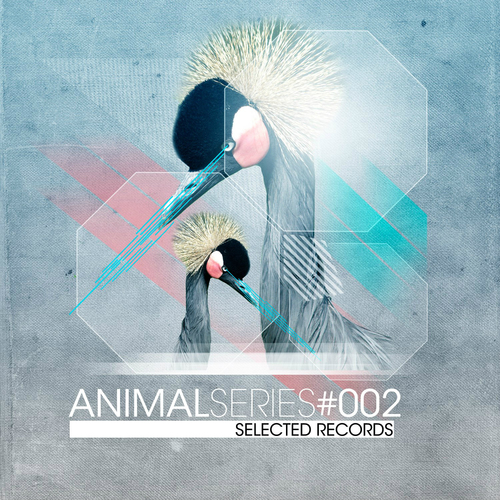 Various Artists-STD 088 - AnimalSeries Vol. 2