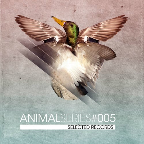 Various Artists-STD 105: Animal Series Vol. 5