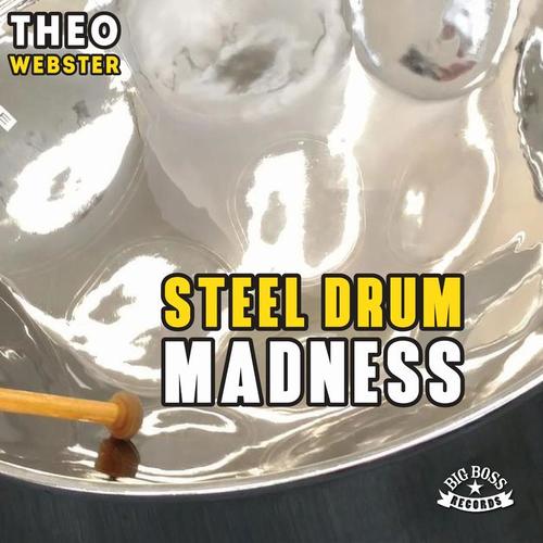 Theo Webster-Steeldrum Madness