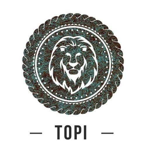 Topi-Step It