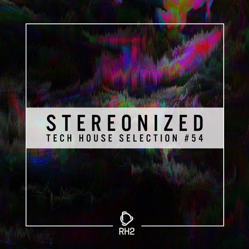 Various Artists-Stereonized: Tech House Selection, Vol. 54