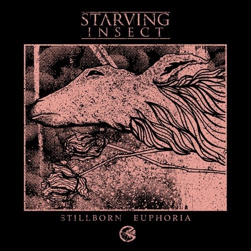 Starving Insect, Synapscape, Omnicide, Hidden Rooms, Embrionyc-Stillborn Euphoria