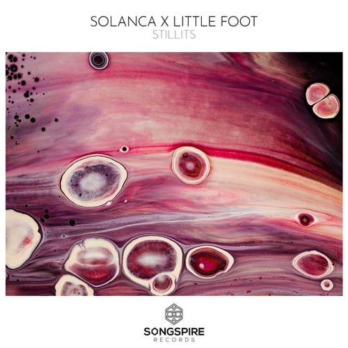 Little Foot, Solanca-Stillits