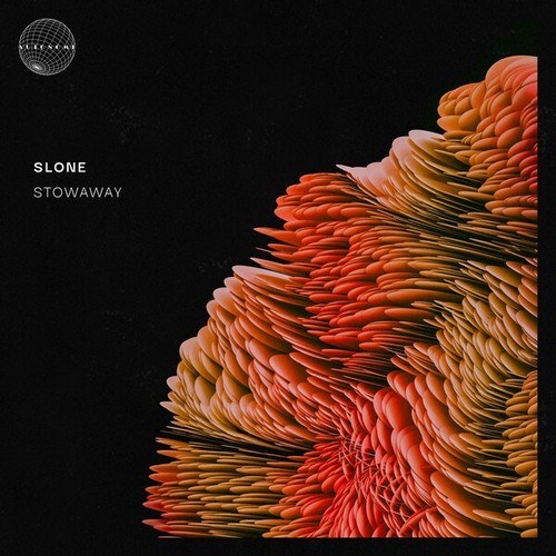 Slone-Stowaway