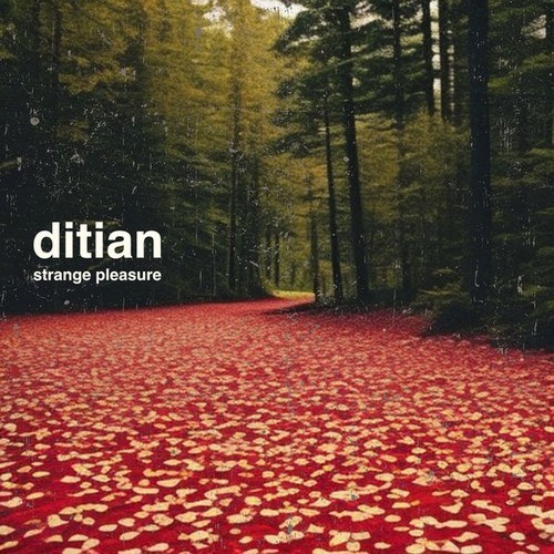 Ditian-Strange Pleasure EP