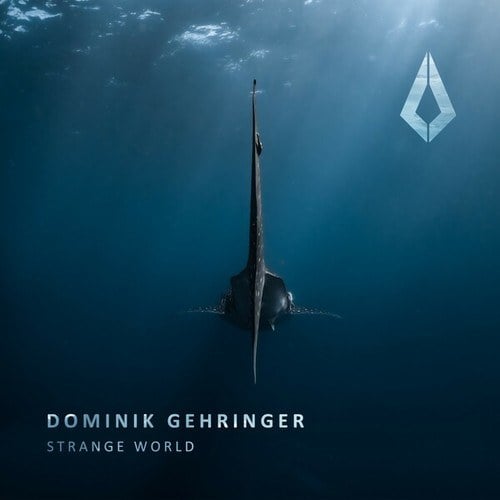 Dominik Gehringer-Strange World