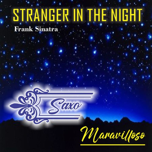 Stranger in the Night