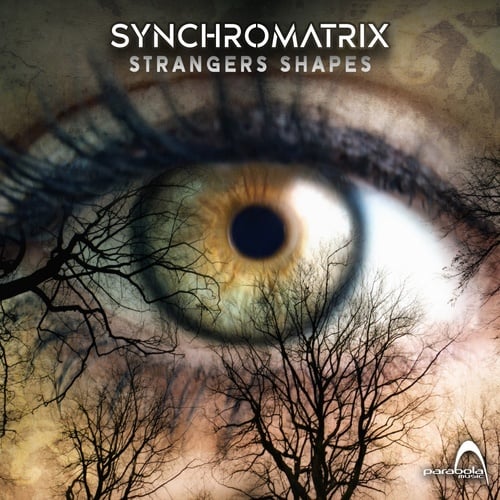 Synchromatrix-Stranger Shapes