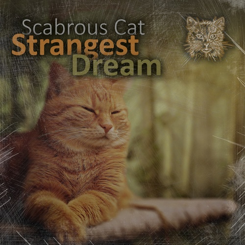 Scabrous Cat-Strangest Dream