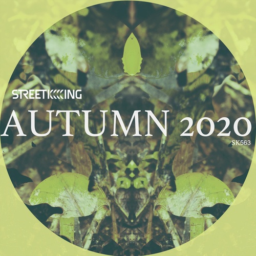 7, Mona Monet, Katopodis, Sunday Noise, Alfonso Ares, Ehsan Yadollahi, Ozgur Uzar, Matteo Zarcone, DJ Vivona-Street King presents Autumn 2020 EP